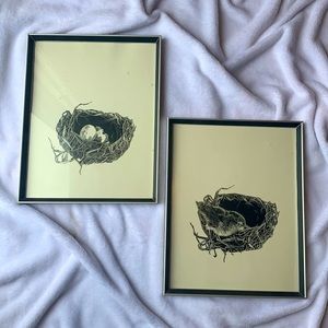 Pair of black/white pictures..eggs then baby bird